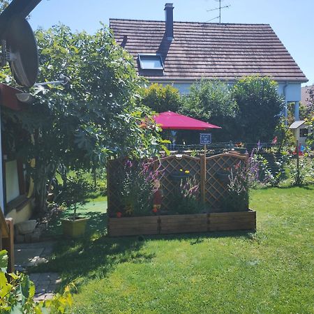 Gite Alsace Appenwihr Dış mekan fotoğraf