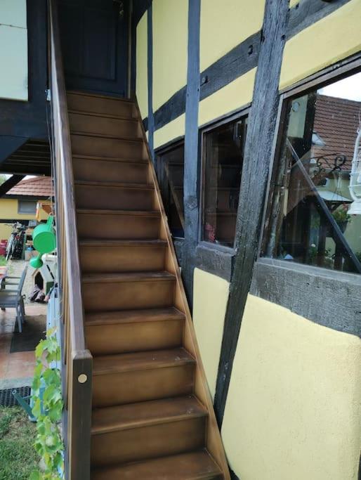 Gite Alsace Appenwihr Dış mekan fotoğraf