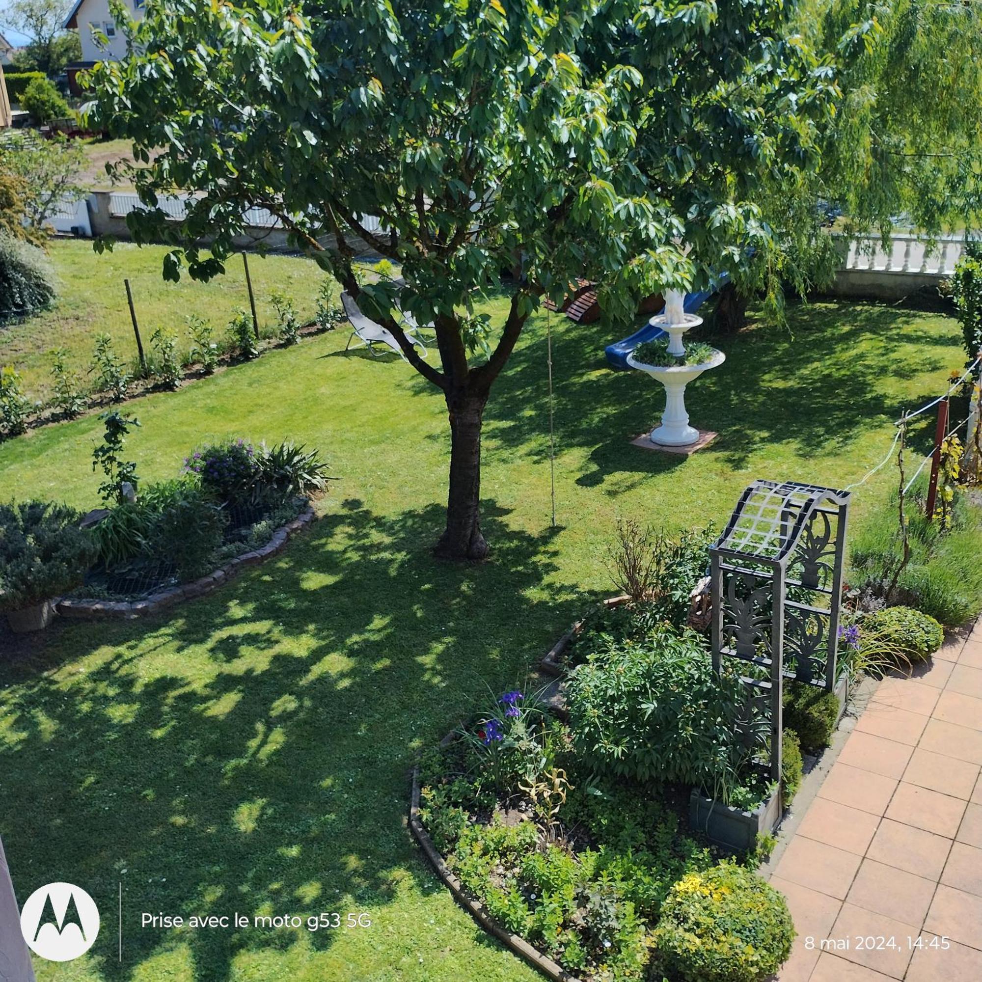 Gite Alsace Appenwihr Dış mekan fotoğraf