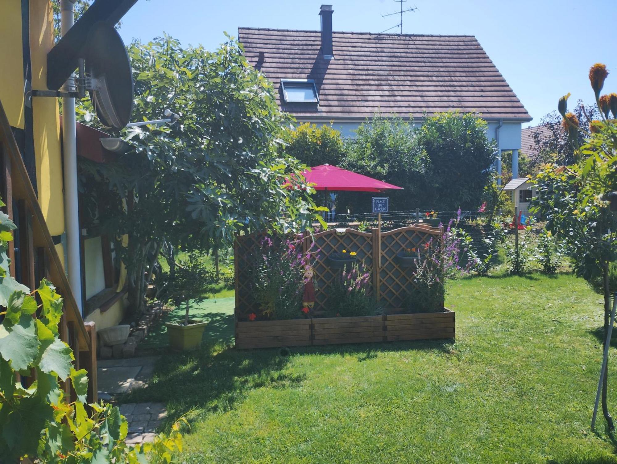 Gite Alsace Appenwihr Dış mekan fotoğraf