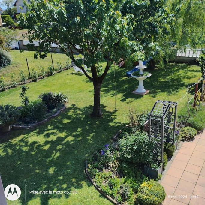 Gite Alsace Appenwihr Dış mekan fotoğraf